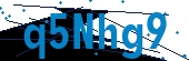 recaptcha