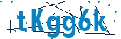 recaptcha